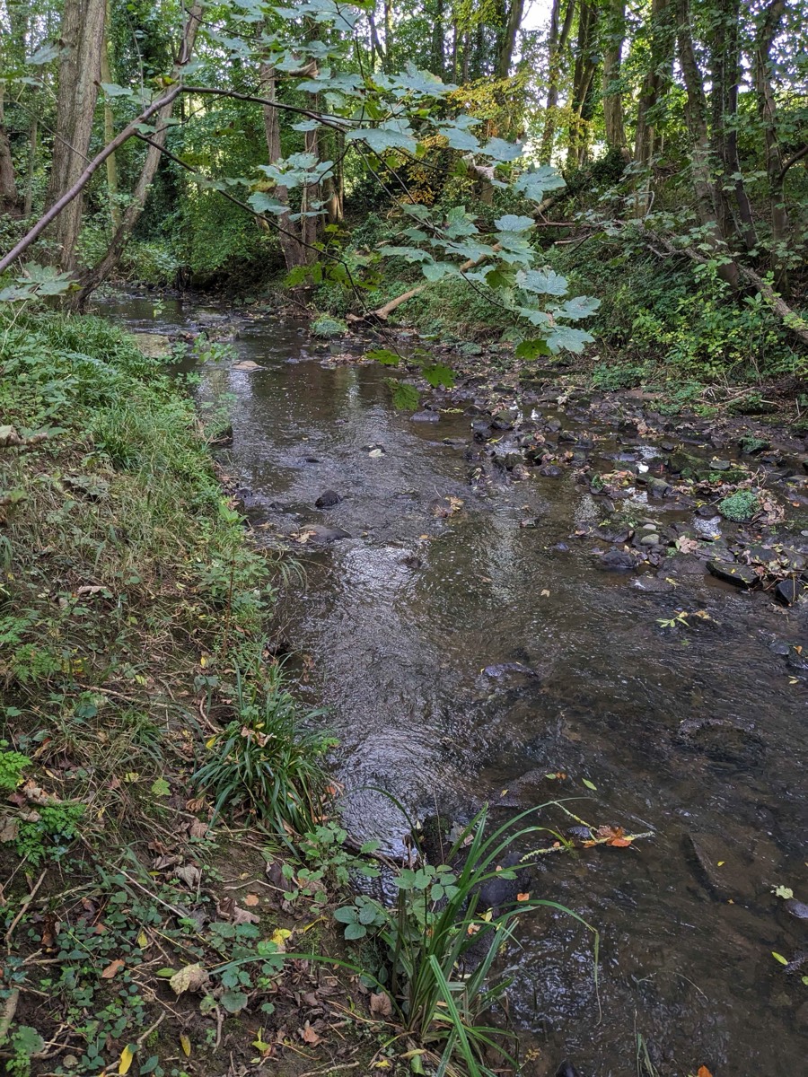 Stacks Image 643